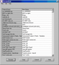 Multi-Filename Editor screenshot